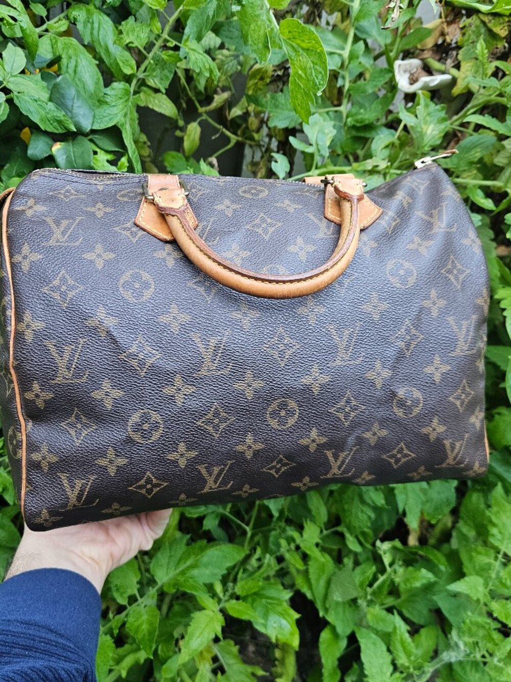 Louis Vuitton LV Hand Bag Speedy 30